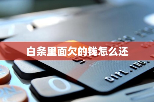 白条里面欠的钱怎么还