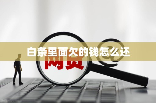 白条里面欠的钱怎么还