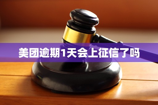 美团逾期1天会上征信了吗