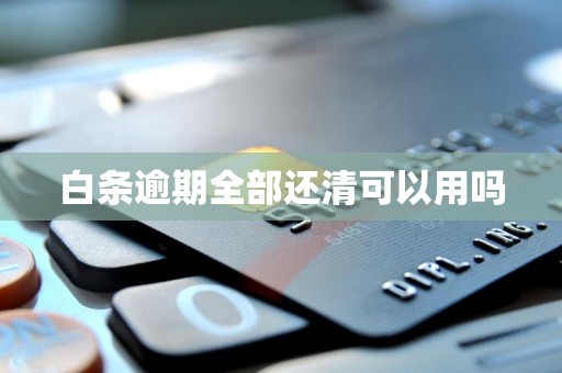 白条逾期全部还清可以用吗
