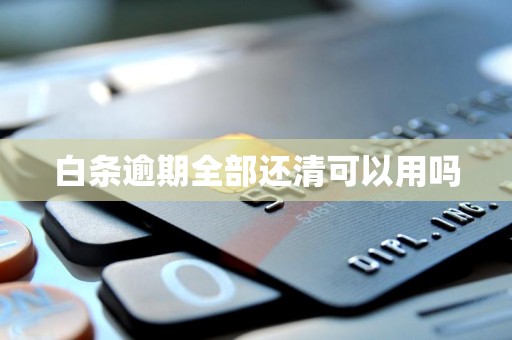白条逾期全部还清可以用吗