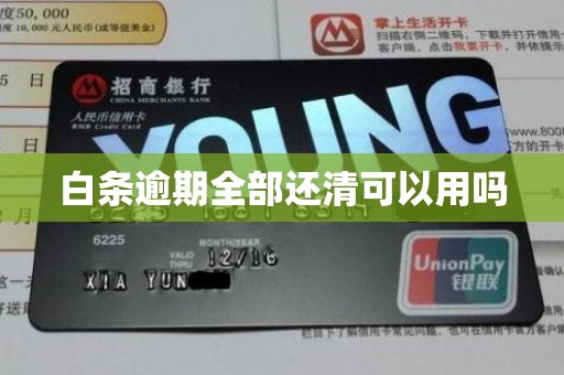 白条逾期全部还清可以用吗