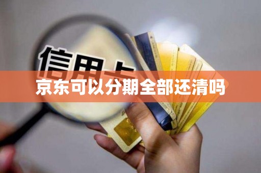 京东可以分期全部还清吗