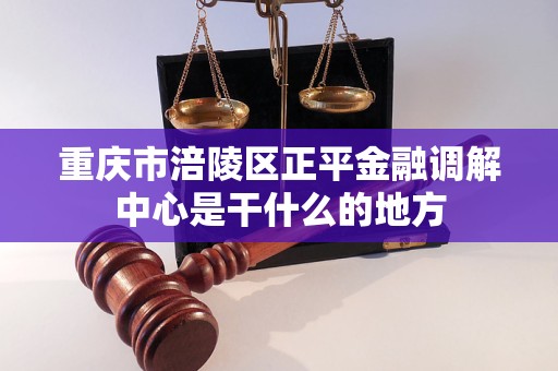 重庆市涪陵区正平金融调解中心是干什么的地方