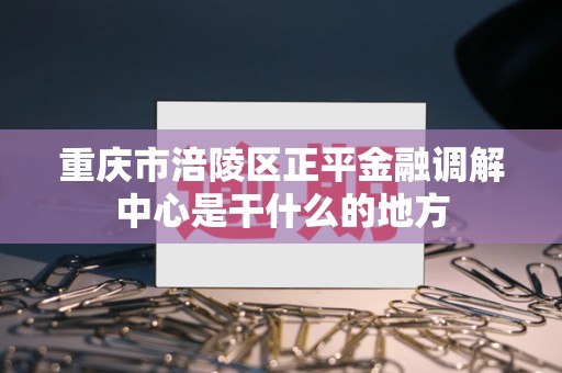 重庆市涪陵区正平金融调解中心是干什么的地方