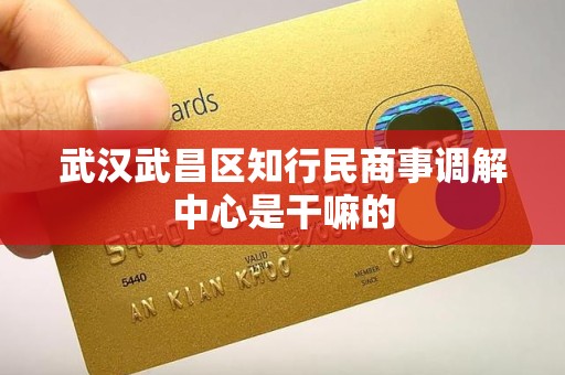 武汉武昌区知行民商事调解中心是干嘛的