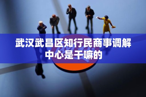 武汉武昌区知行民商事调解中心是干嘛的