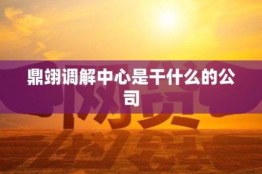 鼎翊调解中心是干什么的公司