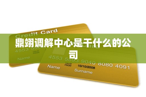 鼎翊调解中心是干什么的公司