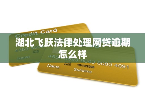 湖北飞跃法律处理网贷逾期怎么样