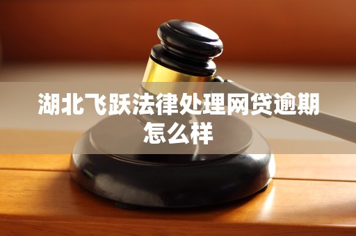 湖北飞跃法律处理网贷逾期怎么样