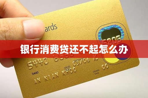 银行消费贷还不起怎么办