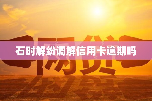 石时解纷调解信用卡逾期吗