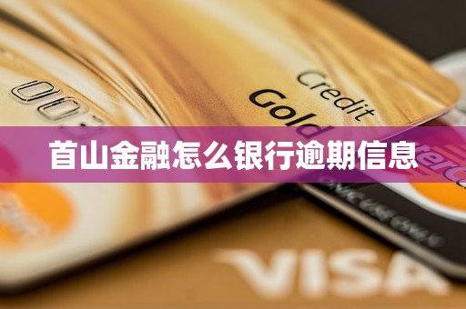 首山金融怎么银行逾期信息