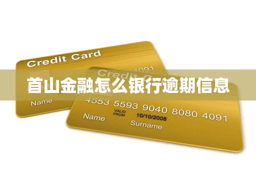 首山金融怎么银行逾期信息