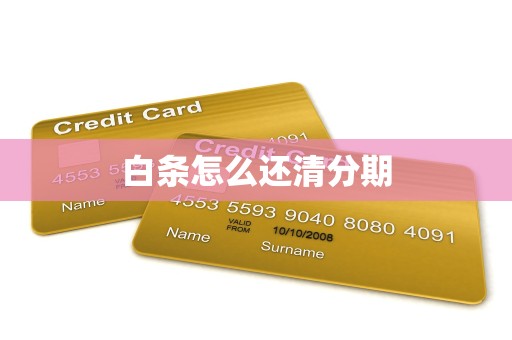 白条怎么还清分期