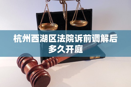 杭州西湖区法院诉前调解后多久开庭
