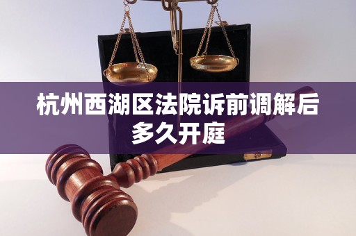 杭州西湖区法院诉前调解后多久开庭