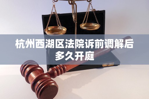 杭州西湖区法院诉前调解后多久开庭