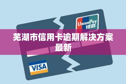 芜湖市信用卡逾期解决方案最新