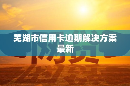 芜湖市信用卡逾期解决方案最新