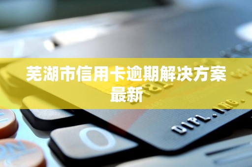 芜湖市信用卡逾期解决方案最新