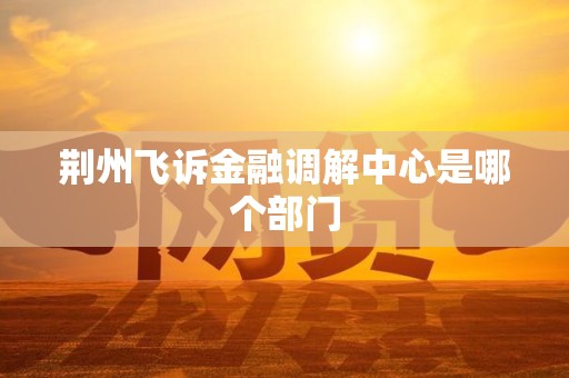 荆州飞诉金融调解中心是哪个部门