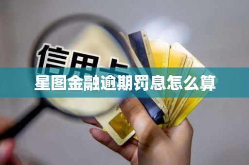 星图金融逾期罚息怎么算