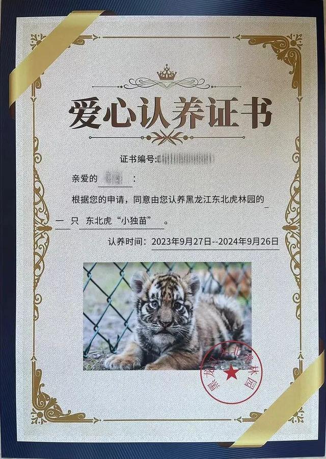 女子花费2000多元认养的老虎几个月前去世，当事人：两年就发来一张生活照，连死讯也瞒我