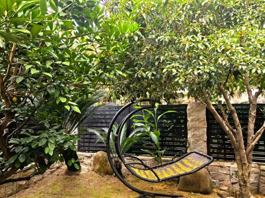 桂香漫时光,艺心映流年