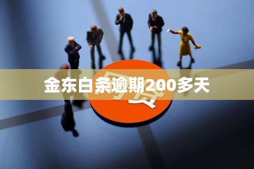 金东白条逾期200多天