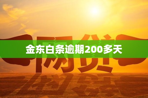 金东白条逾期200多天