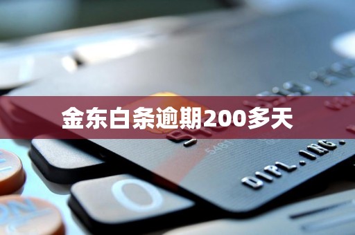 金东白条逾期200多天