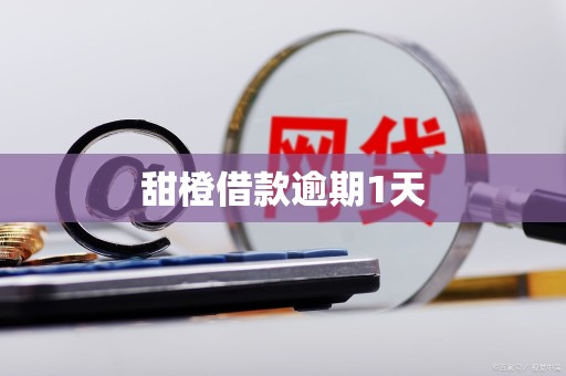 甜橙借款逾期1天