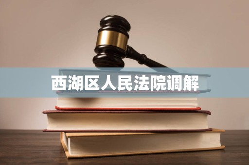 西湖区人民法院调解