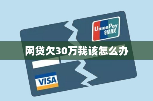 网贷欠30万我该怎么办