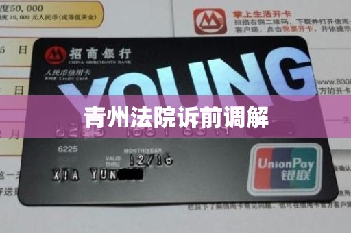 青州法院诉前调解