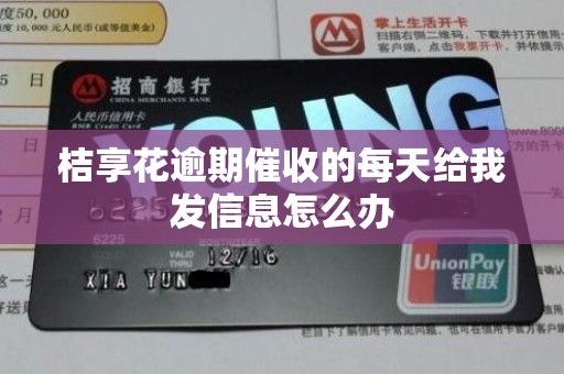 桔享花逾期催收的每天给我发信息怎么办