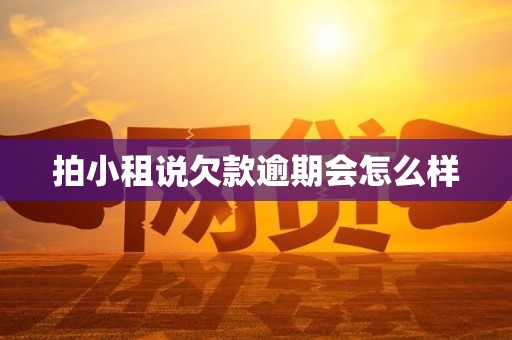 拍小租说欠款逾期会怎么样