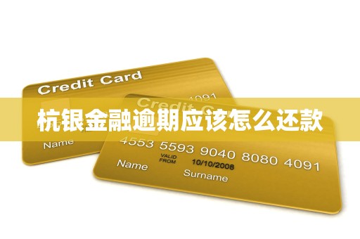 杭银金融逾期应该怎么还款