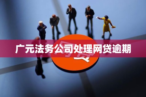 广元法务公司处理网贷逾期
