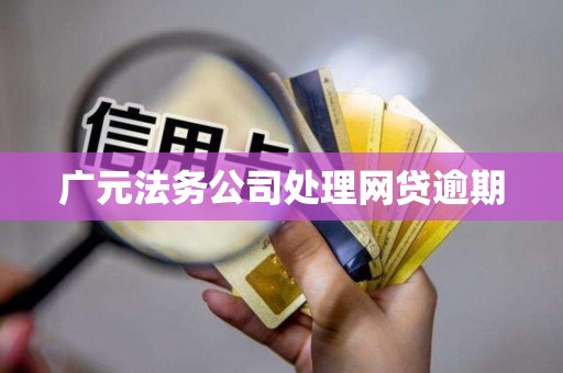广元法务公司处理网贷逾期