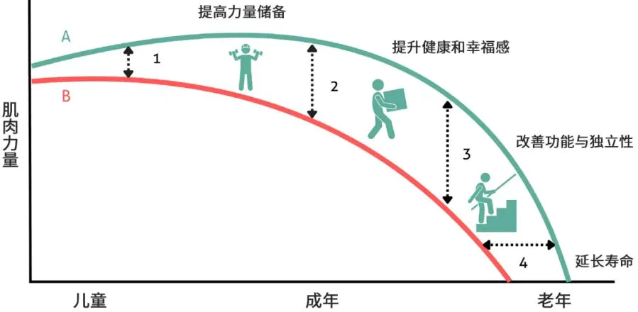 中国孩子正在经历肌肉力量危机