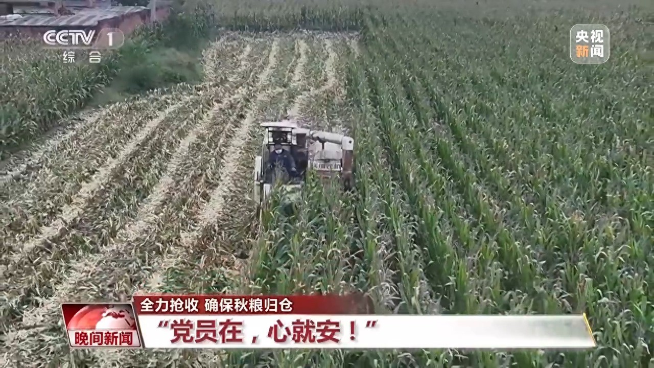 “带着技术人员和设备直奔现场” 他们在田间地头与秋雨“赛跑”