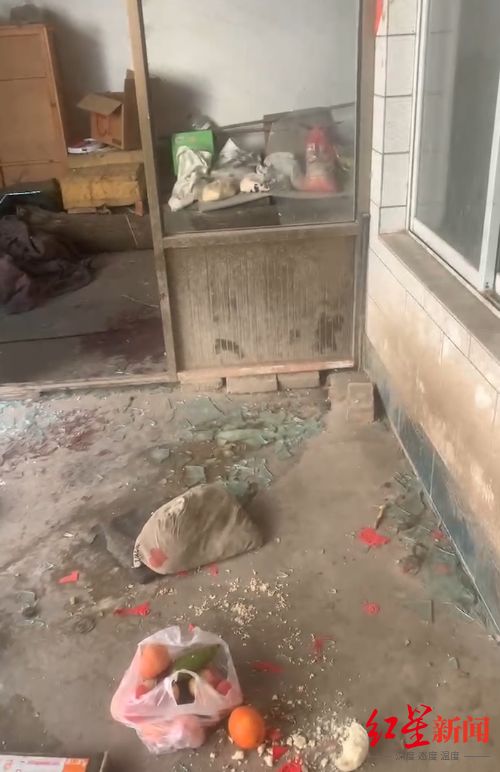 山西“狗咬人被摔死，狗主人上门理论被反杀”案庭审结束 被告人家属：尚未宣判