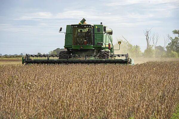 阿根廷表态：不影响中阿协议