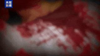 “随便找个陌生人杀了祭天” 缅北魏家接班人回应残忍手段:没什么感受