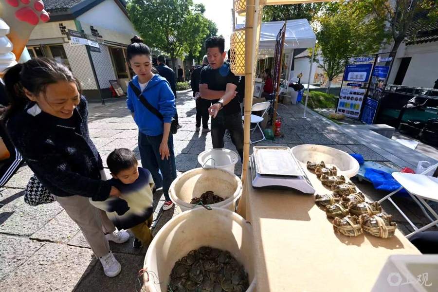 各地名蟹汇聚此地,产业白皮书发布!青浦×上海海洋大学:良种、品牌合作