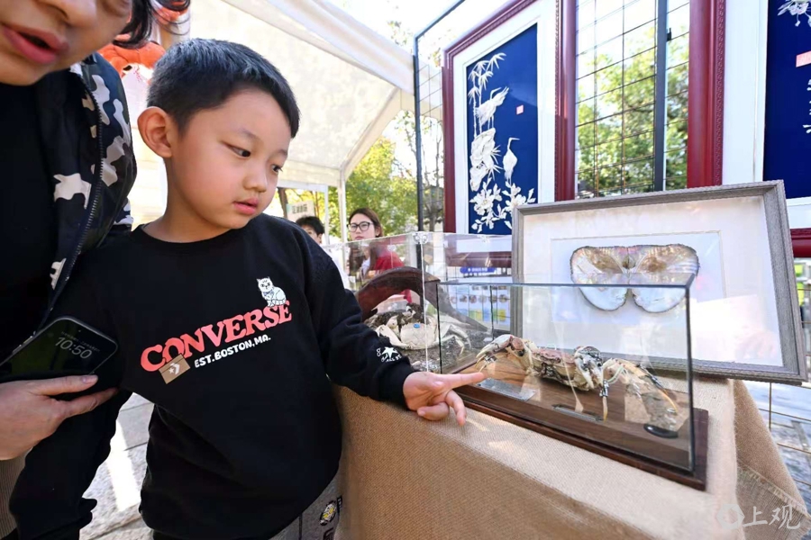 各地名蟹汇聚此地,产业白皮书发布!青浦×上海海洋大学:良种、品牌合作