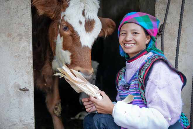 云南百万粉丝网红小英的丈夫被刑拘:酒后肇事逃逸致人重伤